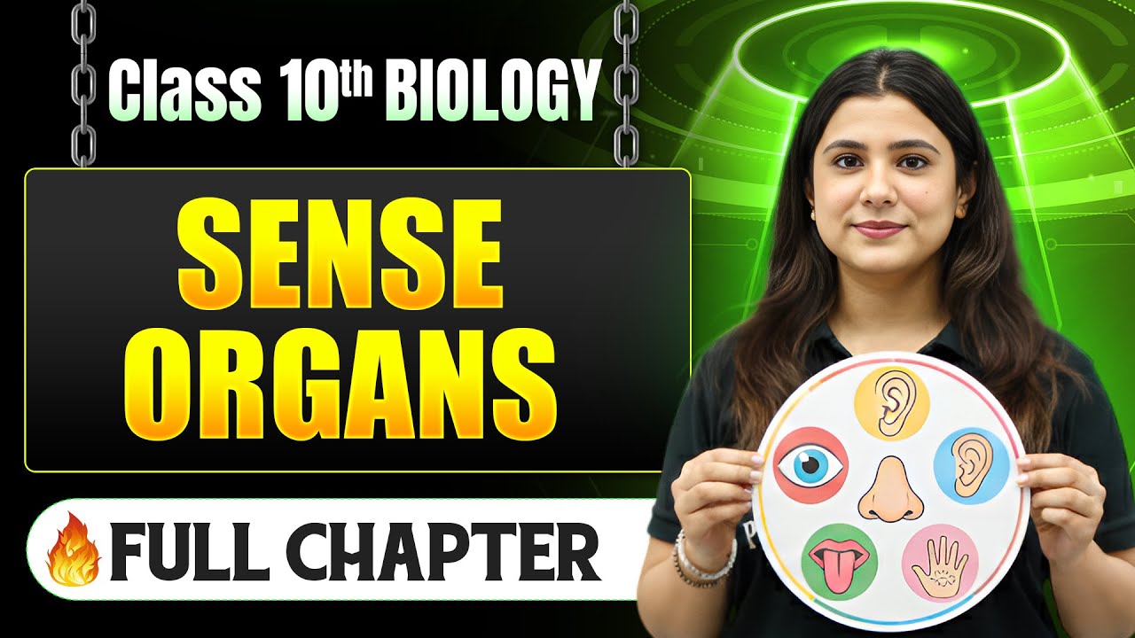 Sense Organs Complete Chapter in One Shot | Class 10 Biology | ICSE ...