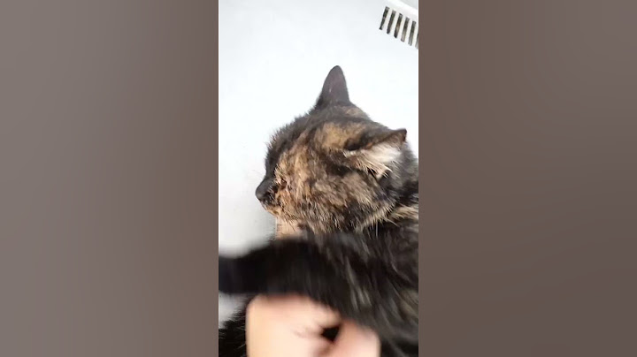 На это можно смотреть вечно🤣👍