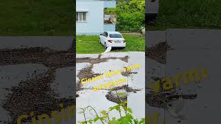 10 Nisan 2024 Resimi