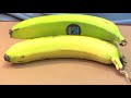 Dr. Joe Schwarcz talks about the banana