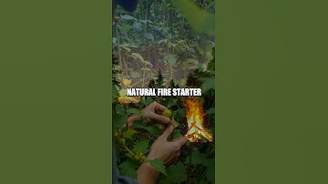 Survival Skills: Learning from Nature