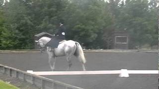 Amy Bryan & Nimbus At The National Side Saddle Show