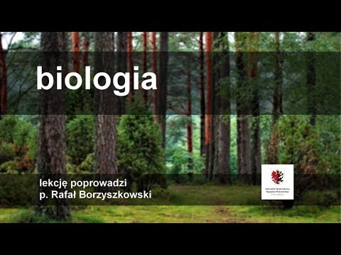 Wideo: Dziedzictwo Ogrodów I Parków