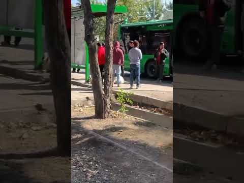 Необычные пассажиры в бишкекском автобусе