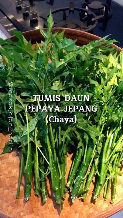 Tumis Daun Pepaya Jepang yang enak #shortvideo #fyp #homecook #shrots #cookingvideo #pepayajepang