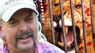 Joe Exotic | The DANGERS of Owning Wild Animals | Curious?: Natural World