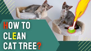 How to Clean Cat Tree? 11 Easy Step in 2024
