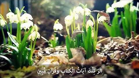 🌴تلاوة تثلج الصدور🌴بصوت الشيخ🌴خالد الجليل🌴