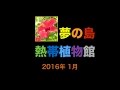 夢の島熱帯植物館 2016年１月 の動画、YouTube動画。