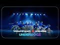 Underdogz  2nd place team division  world of dance hongkong2024  wodhk24