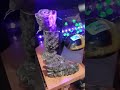 glowing rocks 🤩 @ the market for the strange