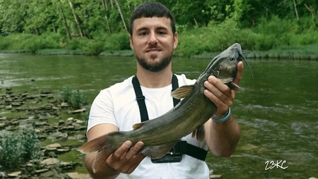louisiana gar night fishing planet louisiana gar night fishing planet
