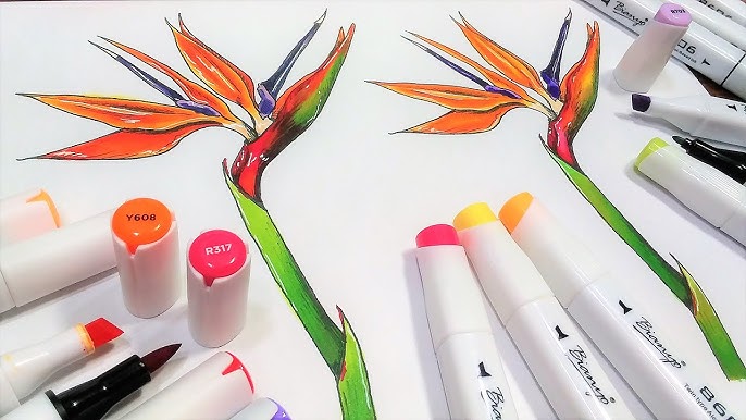 Learn How to Use Alcohol Markers –