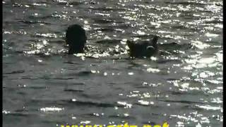 Góming Ponte Nova Lugo Eugenio Lema Iglesias tocando agua