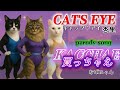 キャッツ・アイ😼杏里の替え歌で『買っちゃえ』