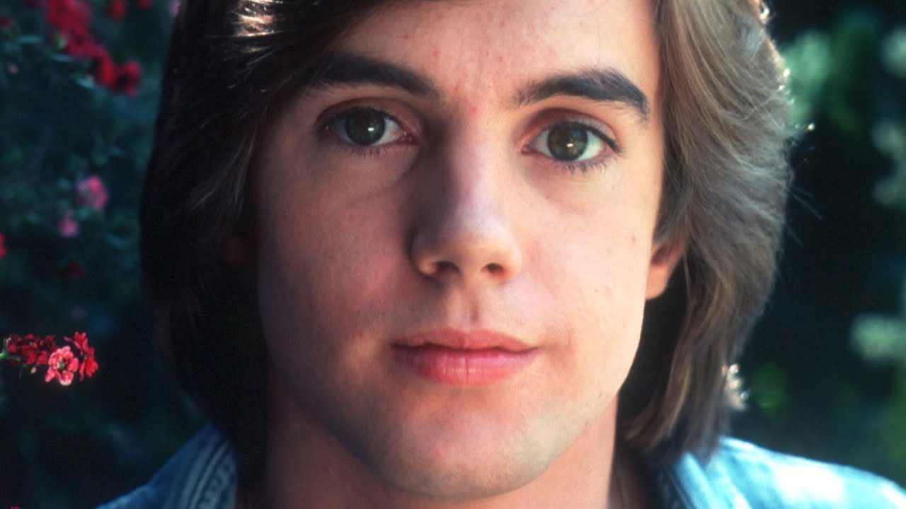 shaun cassidy now