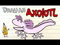 How to draw an axolotl