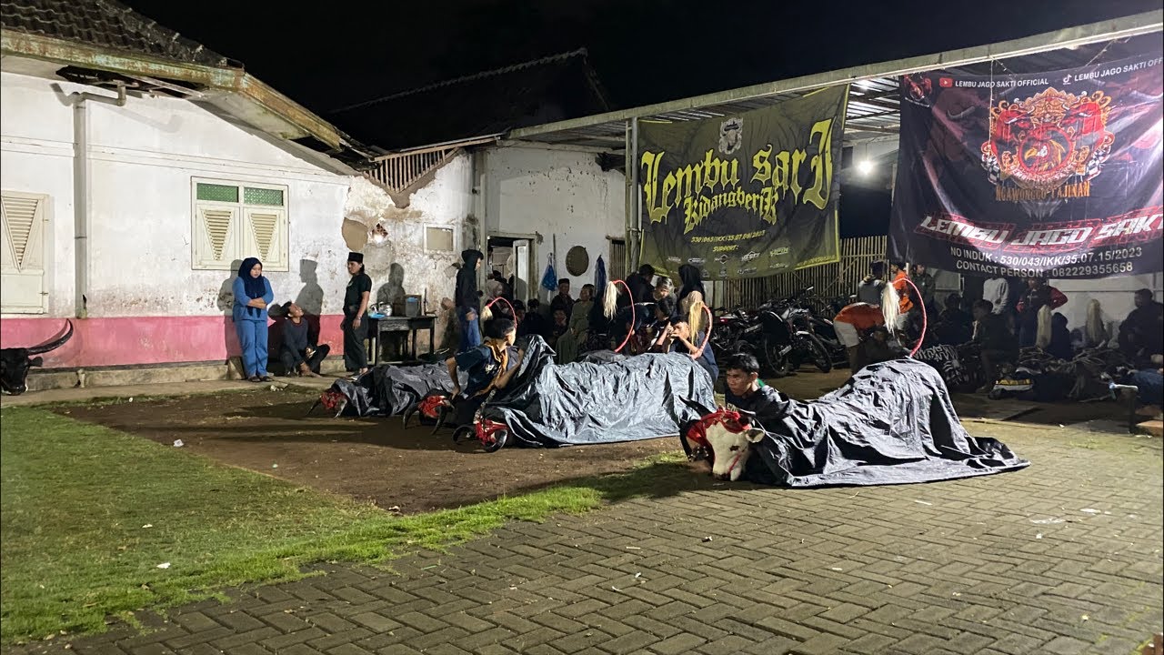 Live Bantengan edisi Kidangberik - Wajak