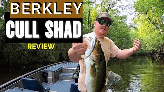 BERKLEY CULL SHAD REVIEW