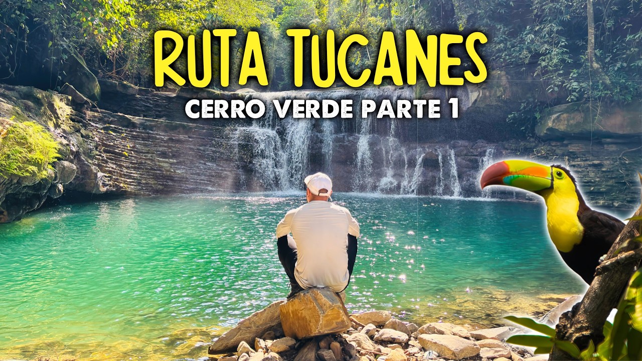 La ruta del Tucán el Paraiso Verde de Puebla 🌱