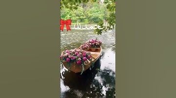 أصبحنا و أصبح الملك لله🌴☀️أذكار الصباح 🥀أدعية الصباح☘️//حالات واتس//