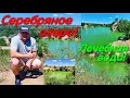 Серебряное озеро. Лечебное озеро. #локация. Фотозона. Экотуризм Украины. Лечебная вода. Фототуризм.