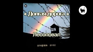 Долгая дорога