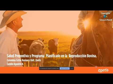 ¿Cómo mejorar la eficiencia en el manejo fitosanitarios de sus cultivos?
