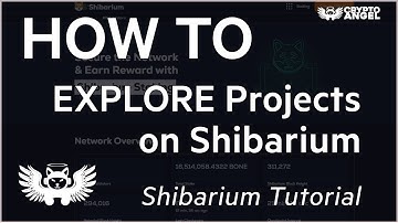 How to EXPLORE Shibarium - Tutorial