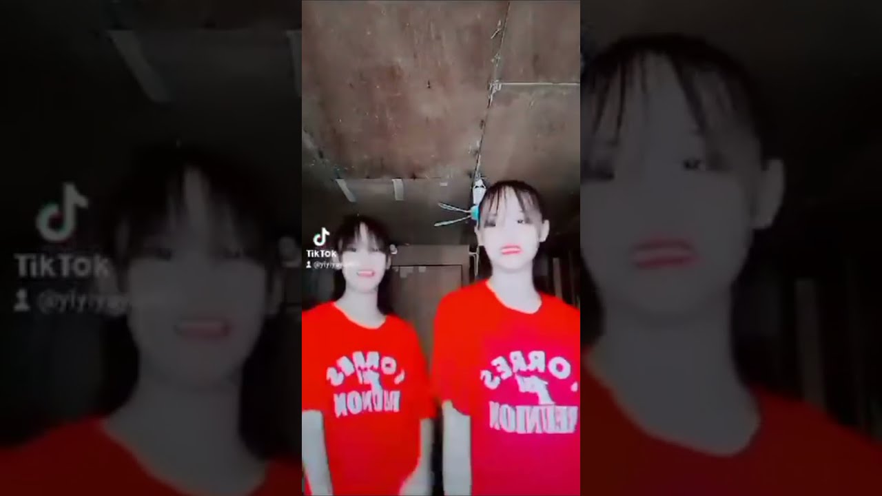  Ashley Andrea Twins