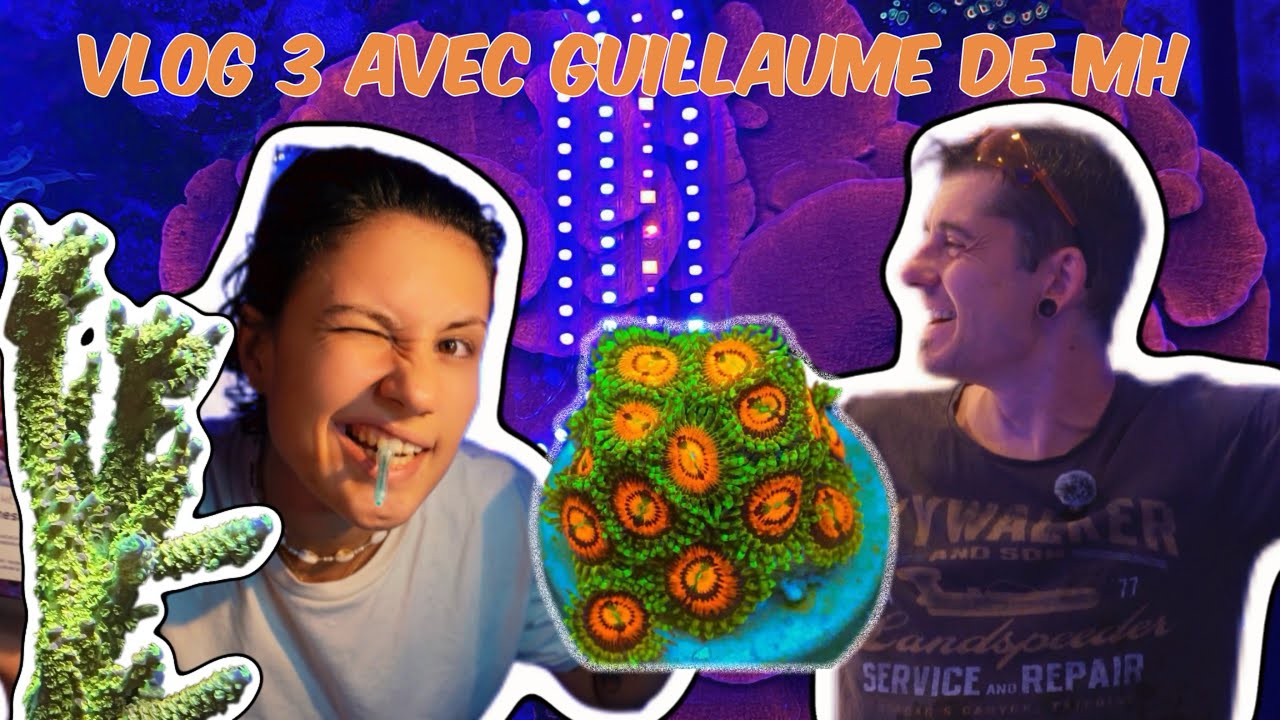 vlog 3 Récifale, tips et astuce de déparasitage avec marine home