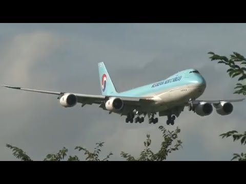 大韓航空カーゴ Korean Air Cargo Boeing 747 8b5f Scd Hl7629 ソウル 成田線 Ke551便 19年08月13日 火 成田国際空港 Youtube 大韓航空カーゴ Korean Air Cargo Boeing 747 8b5f Scd Hl7629 ソウル 成田線 Ke551便 19年08月13日 火 成田国際空港 Youtube