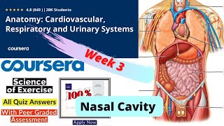 Coursera Anatomy Specialization 2nd Course Week 3 Nasal Cavity Quiz || Insider Zone