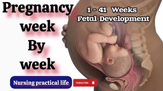 Pregnancy Week by week || 1-41 Weeks Fetal Development nursingpracticallife pregnancy
