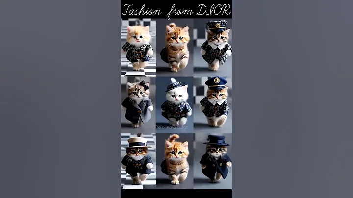 Watch the video about 💥😄CUTE KITTEN VIDEO😹|FUNNY KITTEN 😻VIDEOS🔥#catvideo #viralvideo#catdance#shorts #cute#kittenvideos