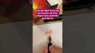 New Pen Day! Magna Carta Mag600 Flex Nib #Calligraphy #Fountainpen #Handwriting #Satisfying