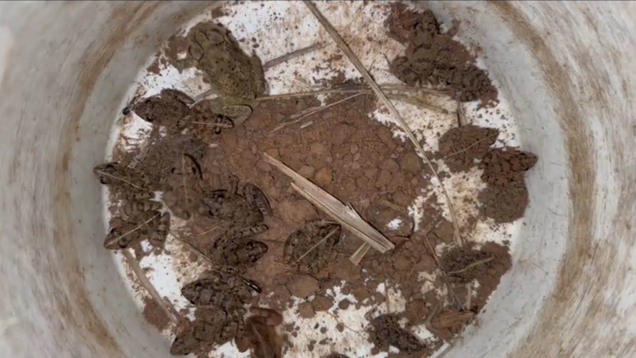 Wow 😱😱😲😲😲