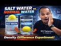 Salt Water Vs Normal Water | देखो नमक का कमाल | Density Difference Experiment #science #density