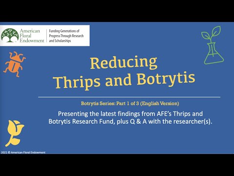 Botrytis Part 1: Scouting and Monitoring for Botrytis