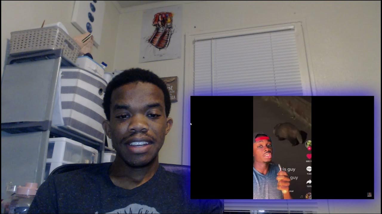 What Happened to the Murder and Why Cows Eat Snakes by [ HOOD