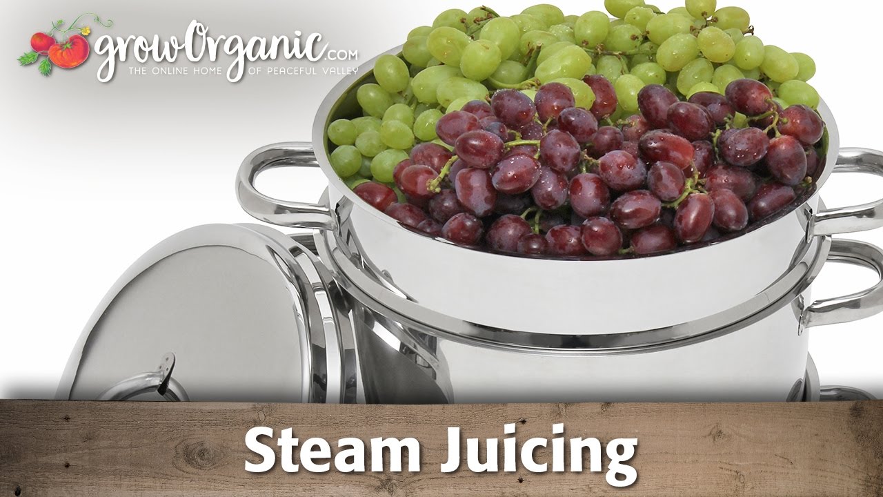 A steam juicer has revolutionized making juice concentrate, jelly