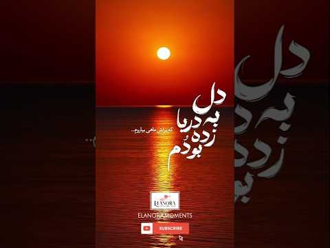 دل به دریا زده بودم  