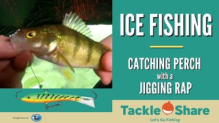 Catching Yellow Perch with a Jigging Rap and Jensen Egg