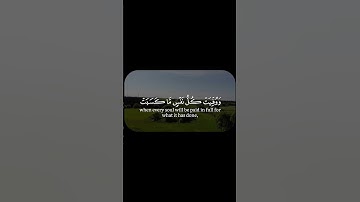 سورة آل عمران🤍 #quran #surahaliimran #سورة_آل_عمران #islam #deen #nasseralqatami