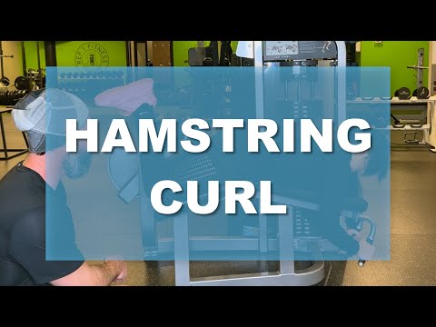 Hamstring Curls: Get Stronger Leg Muscles! - Victorem Gear