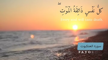 القارئ عبدالرحمن مسعد "كُلِّ نَفْسٌ ذَائِقَةُ الْمَوْتِ" حالات واتس قراءن كريم 🥺🌙💖