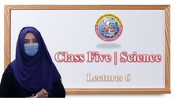 Science AFAQ | Chapter 11 | Grade 5 | Lecture 6 | IESS PK