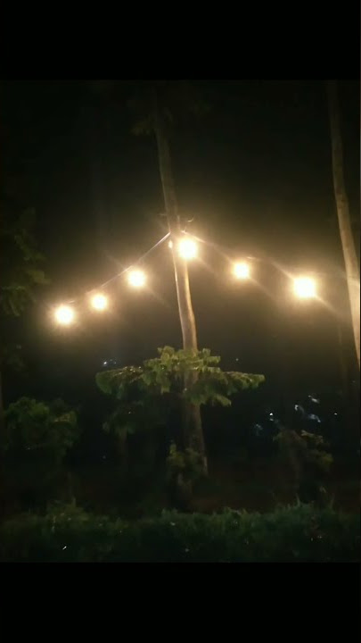 Kabut Malam Hari Di D'Bunder View.#shorts
