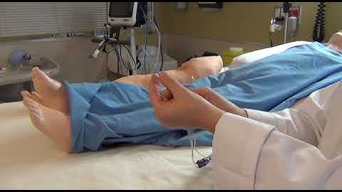 Hemodynamics - Part 5