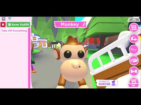 monkey junior will not connect to the internet monkey junior will not connect to the internet